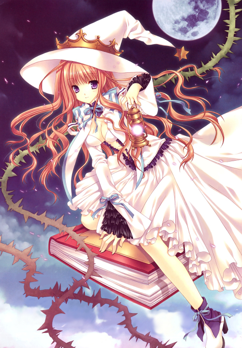 Click for larger image. Random pic from Danbooru.